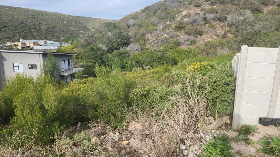 0 Bedroom Property for Sale in Island View Western Cape